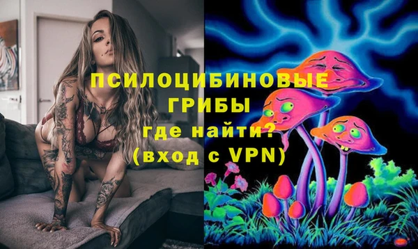 МДПВ Богданович