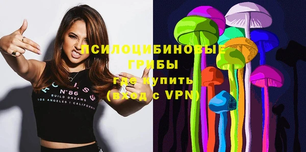 МДПВ Богданович