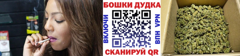 где можно купить наркотик  Нижний Новгород  Конопля гибрид 
